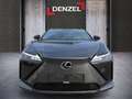 Lexus RZ 300e Executive Line Серый - thumbnail 13