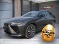 Lexus RZ 300e Executive Line Grau - thumbnail 1
