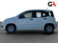 Fiat Panda Panda 1.0 FireFly S&S Hybrid Bianco - thumbnail 8