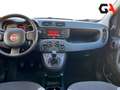 Fiat Panda Panda 1.0 FireFly S&S Hybrid Bianco - thumbnail 13