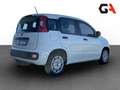 Fiat Panda Panda 1.0 FireFly S&S Hybrid Bianco - thumbnail 6