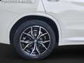 BMW X3 xDrive20d 48V Msport.CERCHI 19.LED. Weiß - thumbnail 24