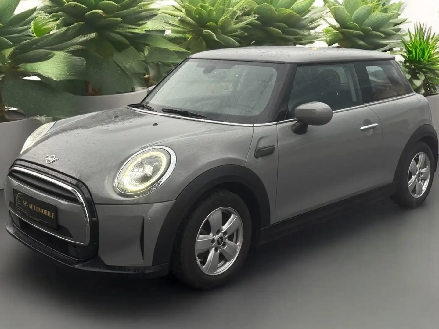 MINI Cooper Cooper Essential Trim Gris - 2