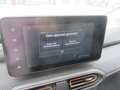 Dacia Sandero Stepway 1.0Tce **66.000Km** Camera GPS KeyLess AC Gris - thumbnail 19