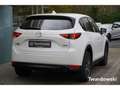 Mazda CX-5 Sports-Line 1.Hand BOSE 360 AHK HUD ACC Keyless Blanc - thumbnail 6