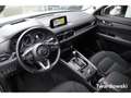 Mazda CX-5 Sports-Line 1.Hand BOSE 360 AHK HUD ACC Keyless Blanc - thumbnail 9