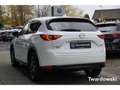 Mazda CX-5 Sports-Line 1.Hand BOSE 360 AHK HUD ACC Keyless Blanc - thumbnail 4