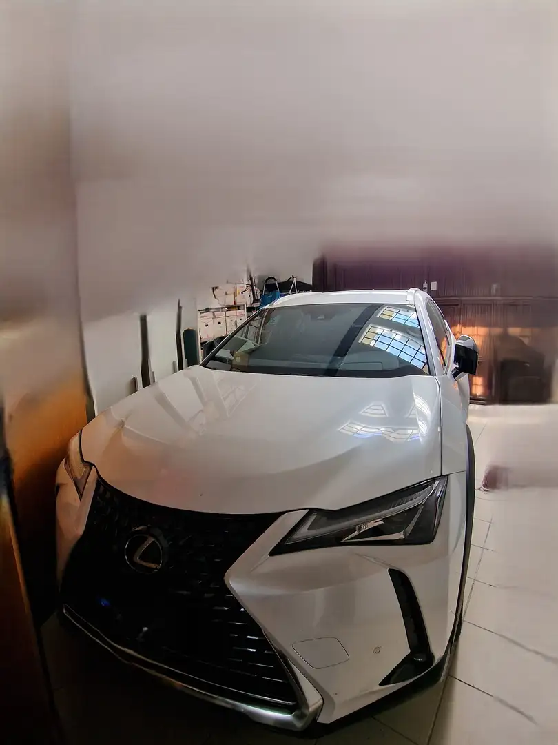 Lexus UX 250h Premium 4WD Bianco - 1