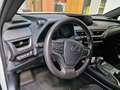 Lexus UX 250h Premium 4WD Bianco - thumbnail 5