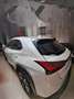 Lexus UX 250h Premium 4WD Bianco - thumbnail 2
