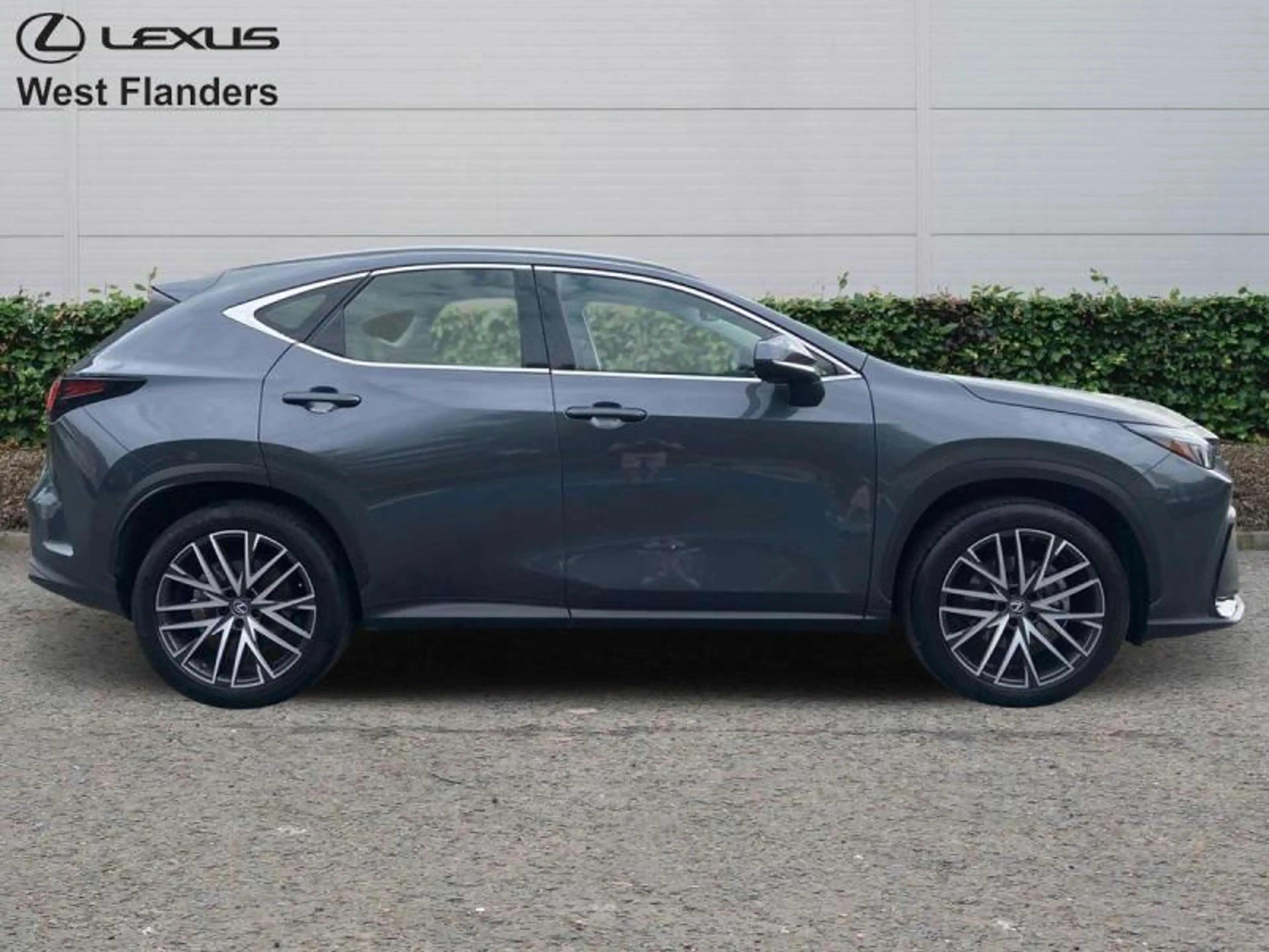 Lexus NX 350h Business Line+20 — photo 3