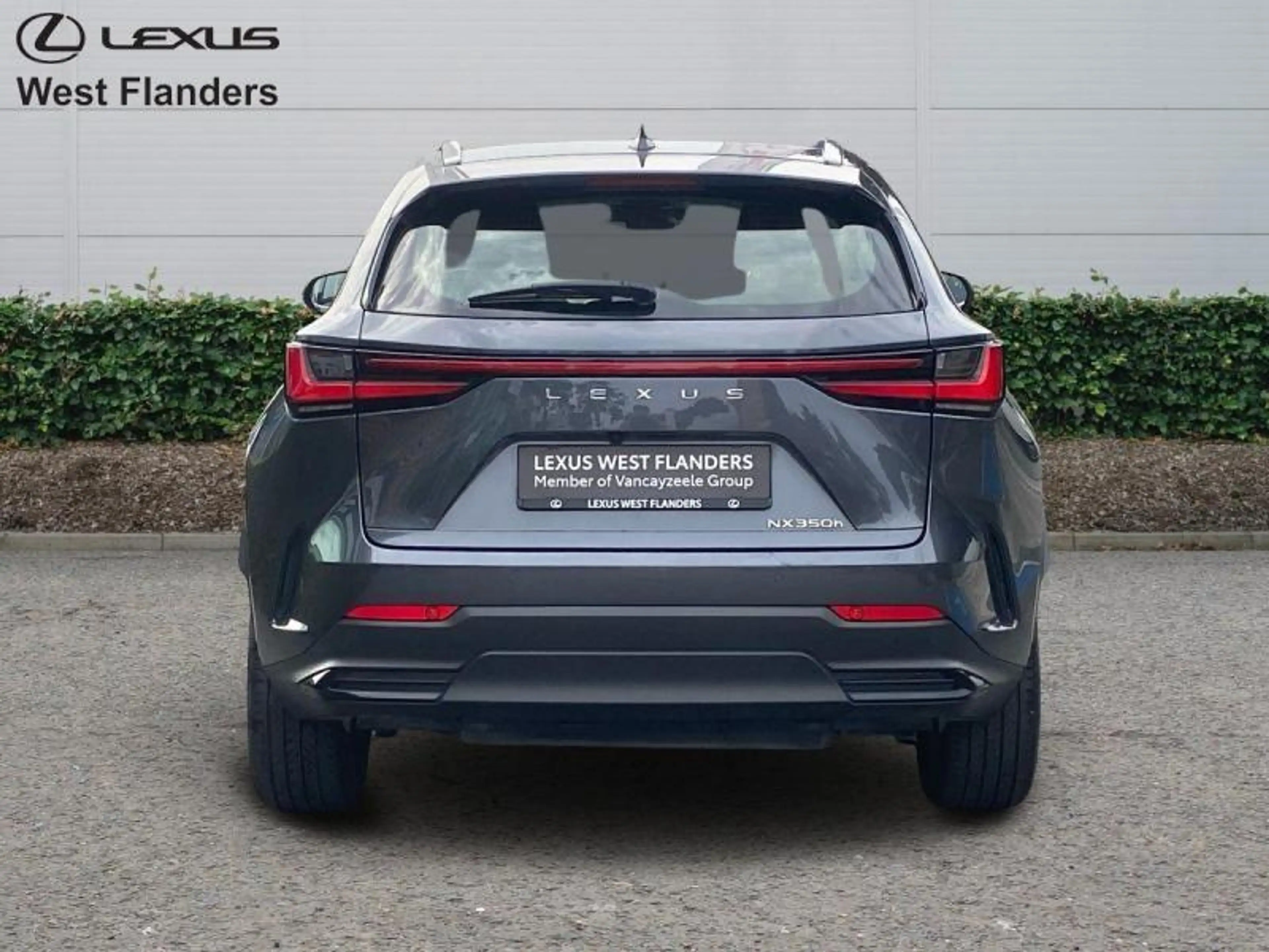 Lexus NX 350h Business Line+20 — photo 5