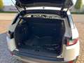 Land Rover Range Rover Evoque 2.0 TD4 150 CV 5p. SE Alb - thumbnail 31