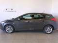 Ford Focus 1,5 TDCi Trend ab € 150 / Monat Grau - thumbnail 3