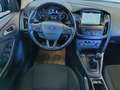 Ford Focus 1,5 TDCi Trend ab € 150 / Monat Grau - thumbnail 13