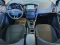Ford Focus 1,5 TDCi Trend ab € 150 / Monat Grau - thumbnail 12