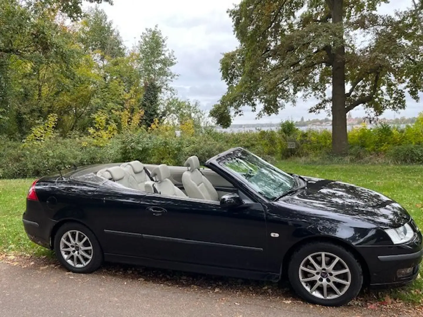 Saab 9-3 9-3 1.9 Cabriolet TiD DPF Aut. Vector Schwarz - 1
