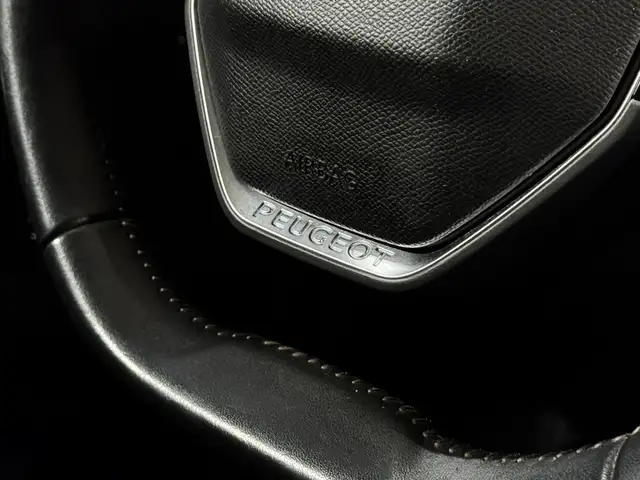 Peugeot 3008 view 12