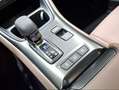 Lexus LBX 1.5 136cv HEV Elegant Azul - thumbnail 14