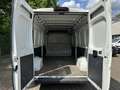 Citroen Jumper 35 L3H2 Profi Heavy BlueHDi 160 Weiß - thumbnail 12