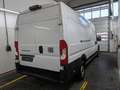 Fiat Ducato H2 Kastenwagen 35 L4H2 180 Multijet Maxi Weiß - thumbnail 2