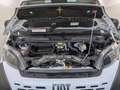 Fiat Ducato H2 Kastenwagen 35 L4H2 180 Multijet Maxi Weiß - thumbnail 5