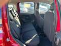 Fiat Panda Panda 1.0 FireFly S&S Hybrid Rosso - thumbnail 12