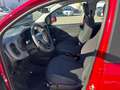 Fiat Panda Panda 1.0 FireFly S&S Hybrid Rosso - thumbnail 10