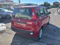 Fiat Panda Panda 1.0 FireFly S&S Hybrid Rosso - thumbnail 7
