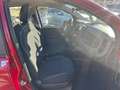 Fiat Panda Panda 1.0 FireFly S&S Hybrid Rosso - thumbnail 11