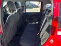 Fiat Panda Panda 1.0 FireFly S&S Hybrid Rosso - thumbnail 13
