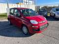 Fiat Panda Panda 1.0 FireFly S&S Hybrid Rosso - thumbnail 3