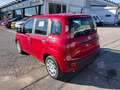 Fiat Panda Panda 1.0 FireFly S&S Hybrid Rosso - thumbnail 6