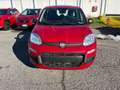 Fiat Panda Panda 1.0 FireFly S&S Hybrid Rosso - thumbnail 2