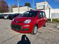 Fiat Panda Panda 1.0 FireFly S&S Hybrid Rosso - thumbnail 1
