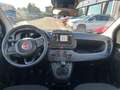 Fiat Panda Panda 1.0 FireFly S&S Hybrid Rosso - thumbnail 14