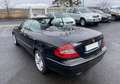 Mercedes-Benz CLK Classe Mercedes CABRIOLET 500 V8 AVANTGARDE 7GTRO Negro - thumbnail 17