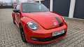 Volkswagen Beetle 1.2 Club BMT SPORT Orange - thumbnail 8