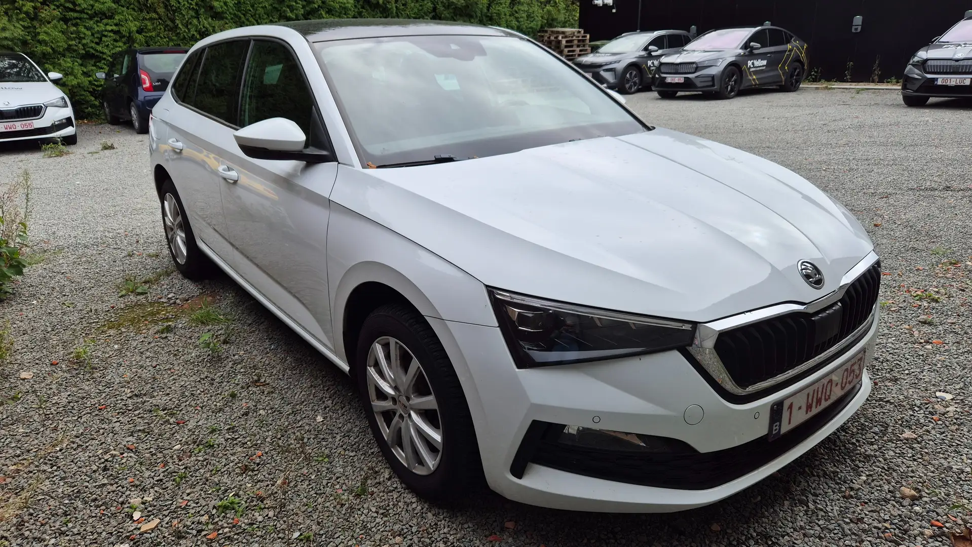 Skoda Scala Scala 1.0 TSI Blanc - 1