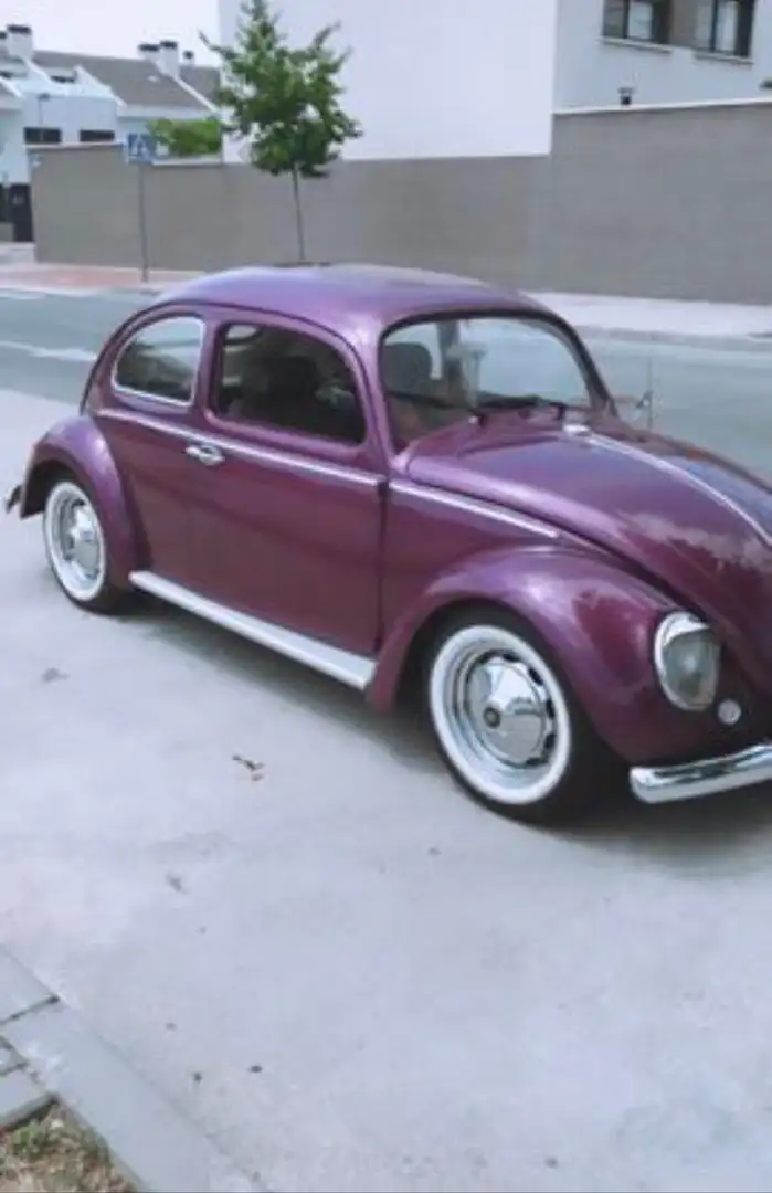 Volkswagen Beetle restaurado y tapizado por completo Violett - 1