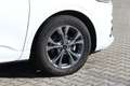 Ford Kuga 2.0d ST-LINE NAV CAM ALU 18 ZOLL Blanc - thumbnail 10