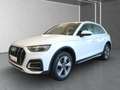 Audi Q5 40 TDI Advan. qu. S tr. RFK*Navi*LM19*LED*GRA Weiß - thumbnail 1