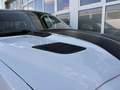 Dodge RAM 1500 Limited Luftf. 360° ACC Pano LED 22´´ Weiß - thumbnail 26