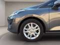Ford Fiesta 5p 1.5 ecoblue (tdci) Business High 85cv Grigio - thumbnail 12