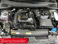 SEAT Ibiza 1.0 TSI DSG Style Edition ab 175,- EUR mtl. PDC SH Grau - thumbnail 25