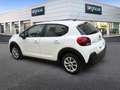 Citroen C3 BlueHDi 100 S&S Business Combi Bianco - thumbnail 7