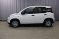 Fiat Panda Hybrid 1.0 GSE 51kW Mild-Hybrid, Sie sparen 4.5... Weiß - thumbnail 3
