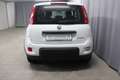 Fiat Panda Hybrid 1.0 GSE 51kW Mild-Hybrid, Sie sparen 4.5... Weiß - thumbnail 5