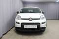 Fiat Panda Hybrid 1.0 GSE 51kW Mild-Hybrid, Sie sparen 4.5... Weiß - thumbnail 2