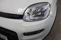 Fiat Panda Hybrid 1.0 GSE 51kW Mild-Hybrid, Sie sparen 4.5... Weiß - thumbnail 20